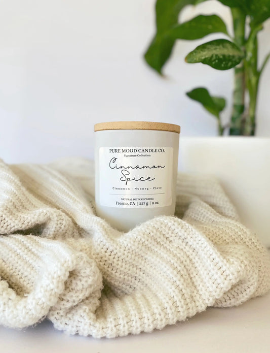 Cinnamon Spice Candle Pure Mood Candle Co.